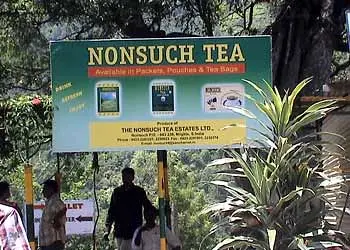 Tea Dust Market in Ooty Tea Dust Market in Ooty
