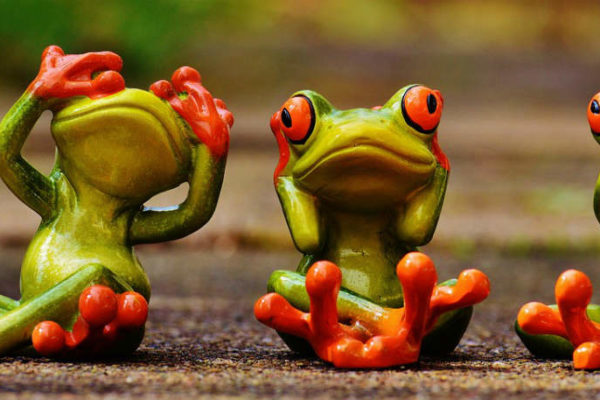 Frogs in water closet in father in law house