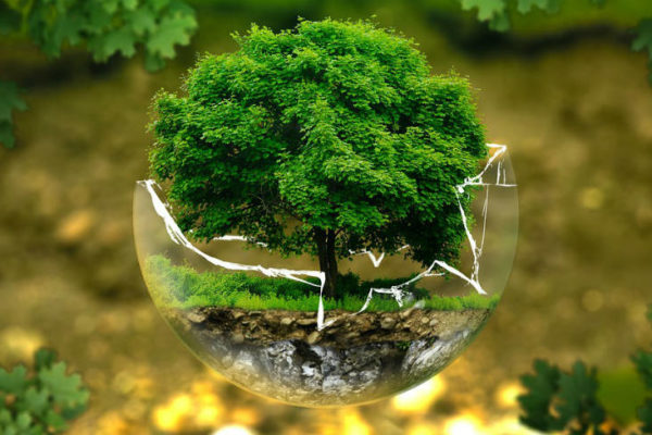 Funny tweets on World Environment Day