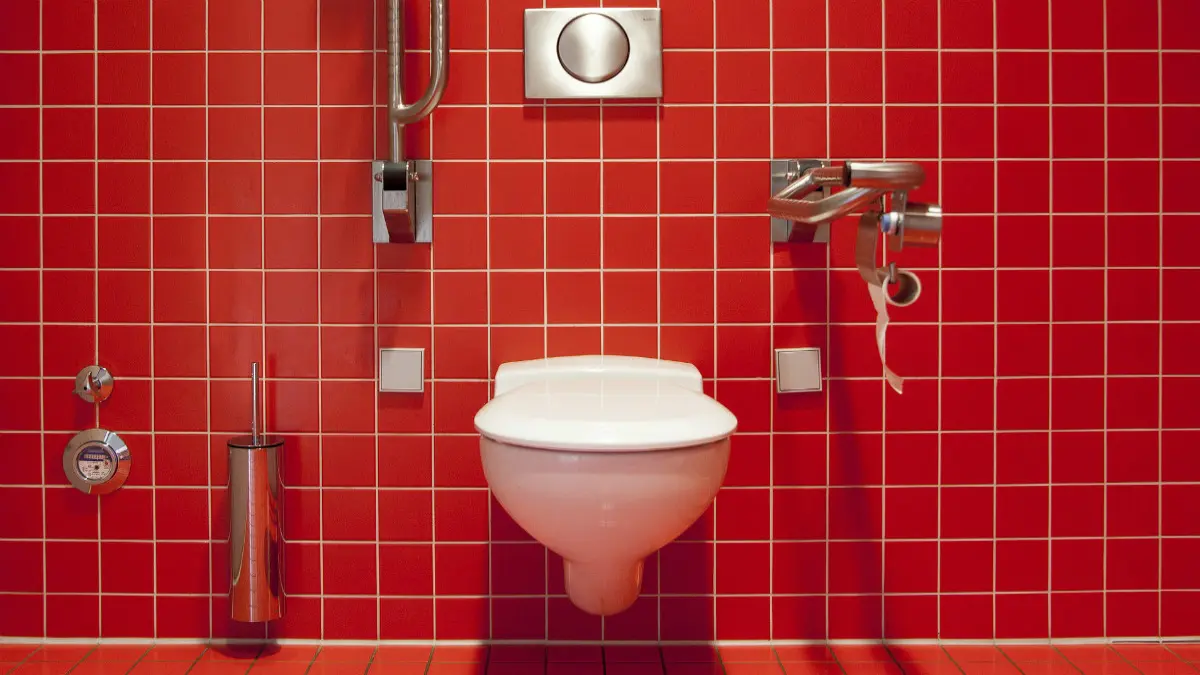 Importance of toilets in our life
